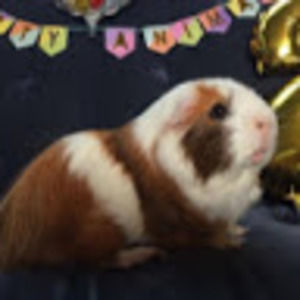 Meet your Posher, Cindy